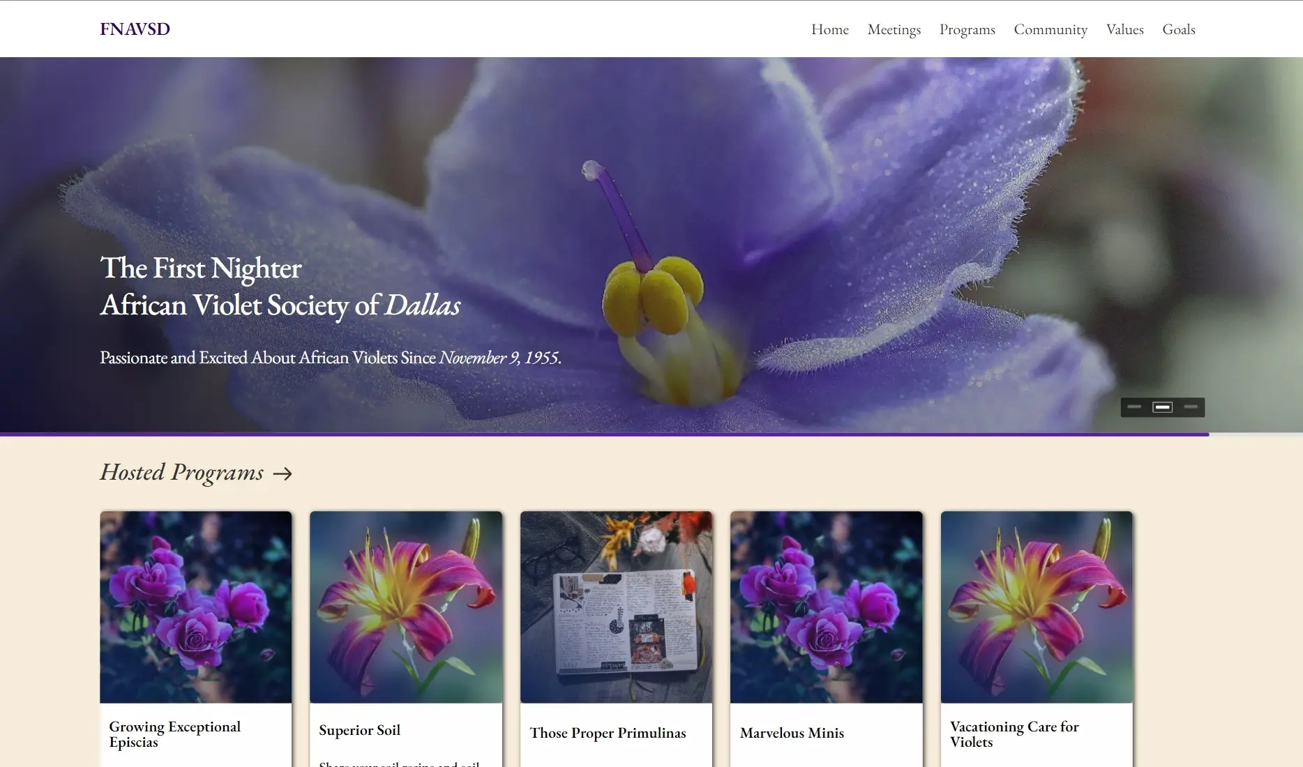 african violet society